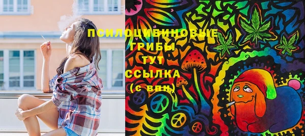 твердый Нязепетровск