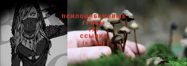 а пвп мука Няндома