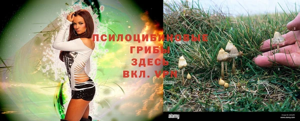 а пвп мука Няндома