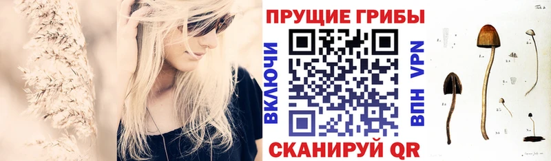 Псилоцибиновые грибы мухоморы  ОМГ ОМГ ссылка  Нижний Тагил  где продают  
