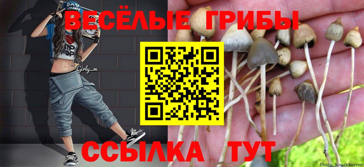 Псилоцибиновые грибы прущие грибы  Псилоцибиновые грибы Psilocybine cubensis  Нижний Тагил  Вход с VPN 